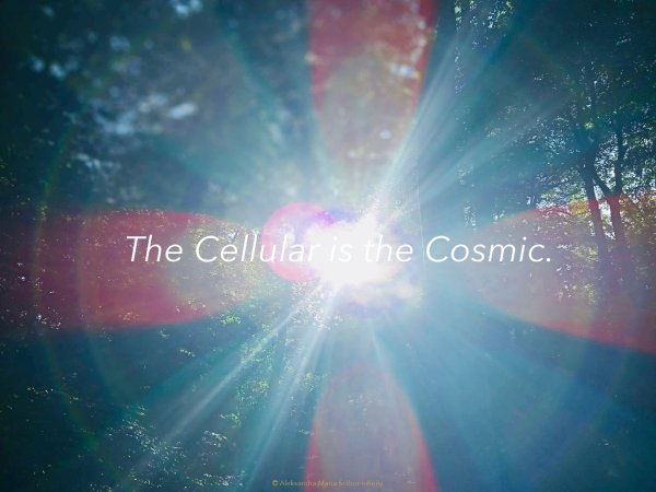 TheCellularIsTheCosmic_page-0001